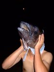 DSCF4295.jpg